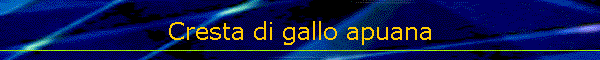 Cresta di gallo apuana