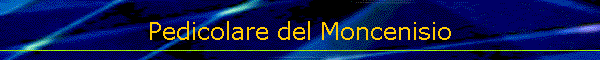 Pedicolare del Moncenisio