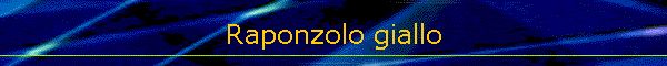 Raponzolo giallo