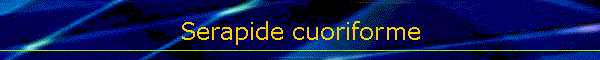 Serapide cuoriforme