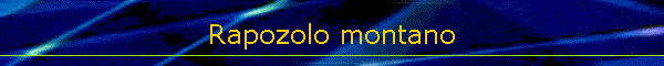 Rapozolo montano