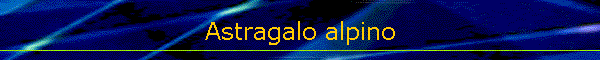 Astragalo alpino