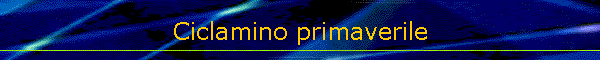 Ciclamino primaverile