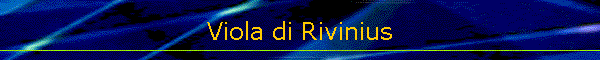 Viola di Rivinius